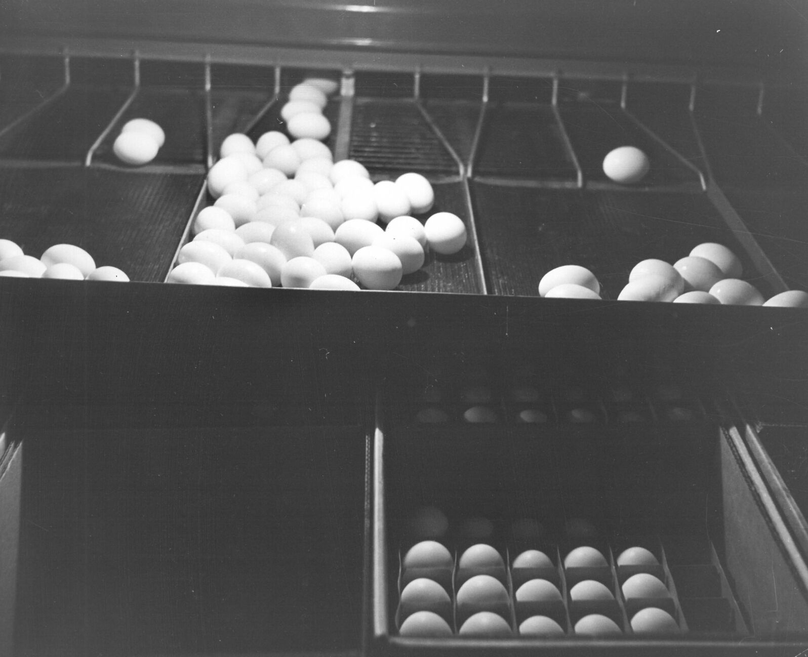 Egg sorting